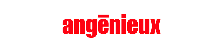 ANGENIEUX / MAQUET